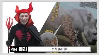 우리의 히어로 하트맨과 동물 친구들이 악당 볼라를 물리칠 수 있을까요??     친구들 함께 힘을 합쳐주세요횻~    최강동물왕!